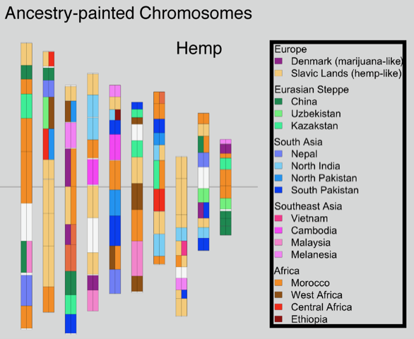 cannabisindustryjournal.com