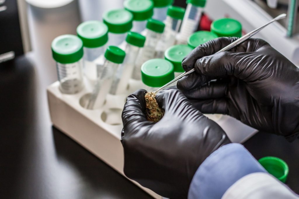 Cannabis Lab Testing Problems Continue Nationwide - Cannabis Industry ...