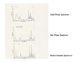 IR Spectrum of 2,4-Dichlorophenol in different physical states