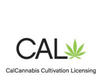2021 Trends: Nine Developments in California’s Cannabis Market 3