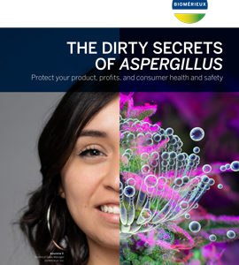 The Dirty Secrets Of Aspergillus