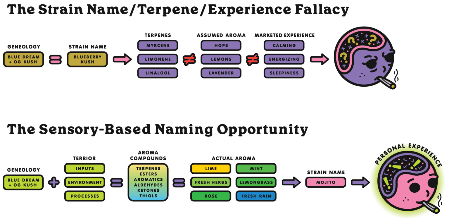 The Sensory Branding Opportunity for Cannabis Products - Cannabis ...