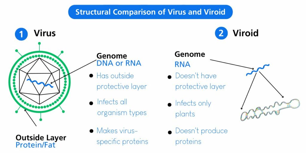 Hop Latent Viroid (HLVd) & Pathogen Diagnostics: A Comprehensive ...