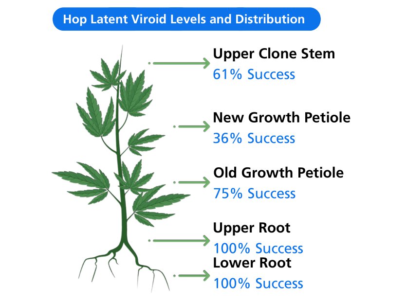 File:24 grams of cannabis buds and digital scale.jpg - Wikimedia Commons