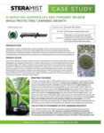 Eliminating Microbes & Growth in Every Stage of Cannabis Growth