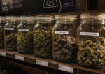 Dispensaries Are Winning on Google and Disappearing on ChatGPT